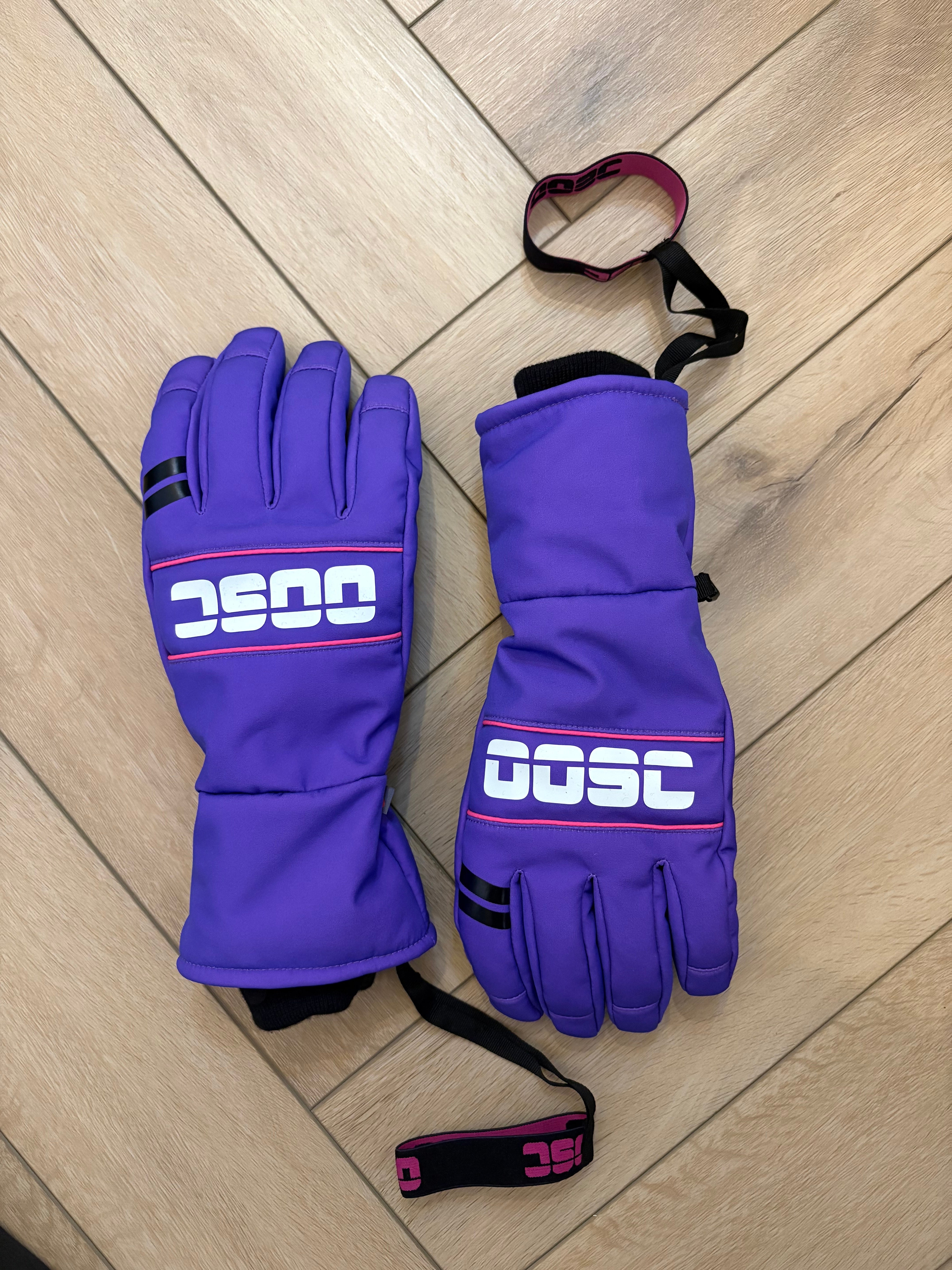 1987 PrimaLoft® V2 Ski & Snowboard Gloves - Purple